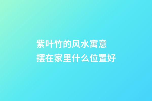紫叶竹的风水寓意 摆在家里什么位置好